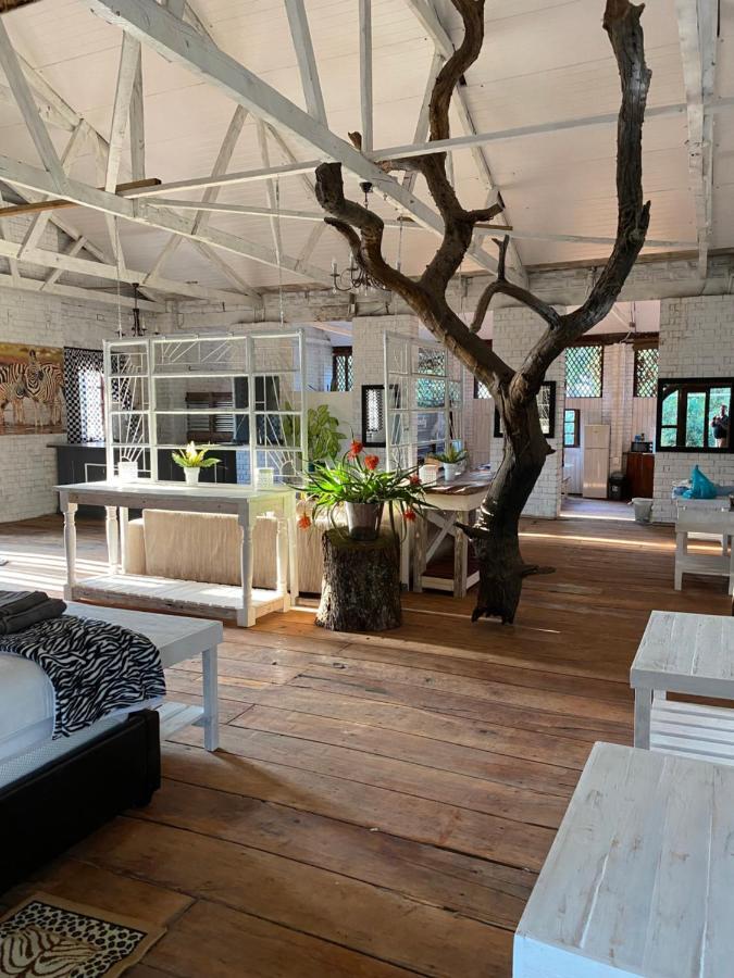 Mon Desir Villa Pietermaritzburg Eksteriør bilde